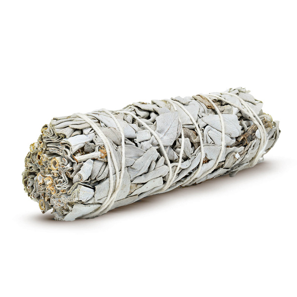 Salvia blanca – Incienso 20-30 g (manojo)