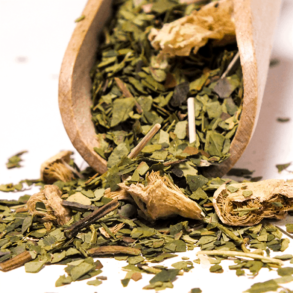 Yerbera – Lata metálica + Verde Mate Green Cactus de Juarez 0,5 kg