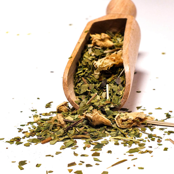 Set de regalo de Yerba Mate Verde Mate Cactus 0,5kg