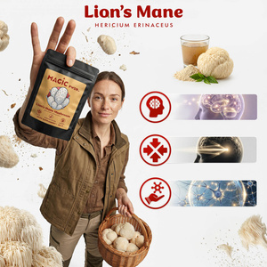 Magic Pwdr – Lion’s Mane – Melena de León 30 g