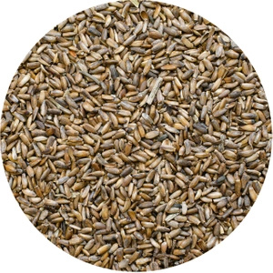 Vivarini – Cardo mariano (semillas) 0,5 kg