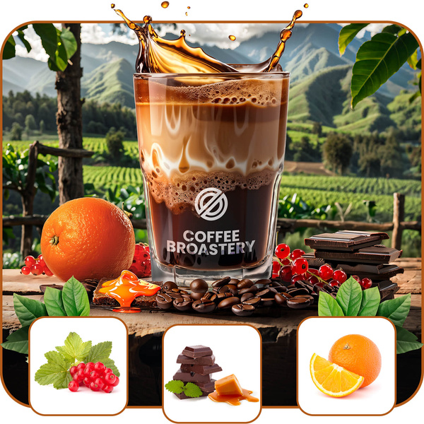 Bro Coffee Roastery - Café arábica en grano Colombia Medellin Premium 400 g