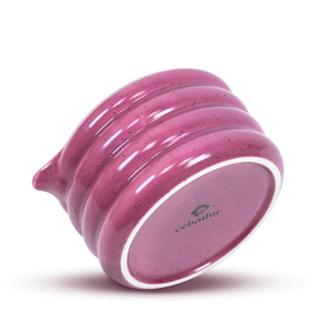 Set para preparar Purple Matcha