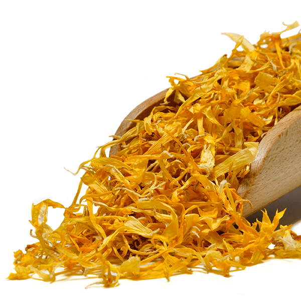 Mary Rose – Caléndula 10 g – flor de caléndula (pétalos)