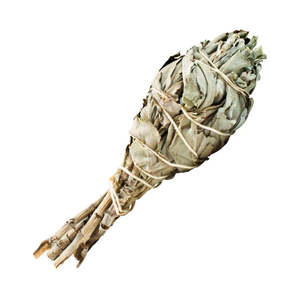 Incienso Palo Santo 50g Salvia blanca Estuche grande