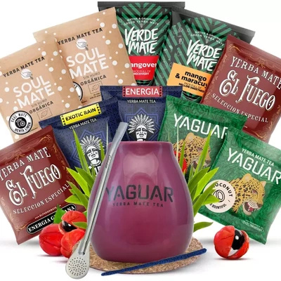 Yerba Mate kit de inicio calabaza Bombilla 10x50g