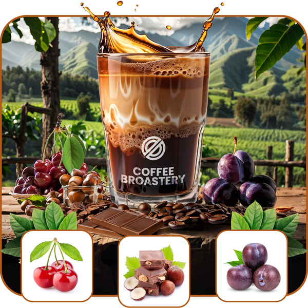 Bro Coffee Roastery - Café arábica en grano Costa Rica San Rafael Speciality 400 g