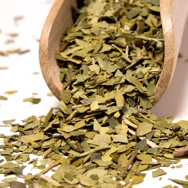 Yerbera – Lata metálica + Verde Mate Green Despalada 0,5 kg