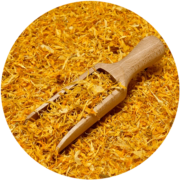 Mary Rose – flores de caléndula secas