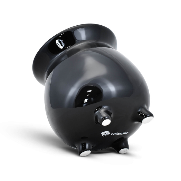 Set de inicio Yerba Mate Verde Mate Pumpkin Spice 400g + Calabaza Caldero