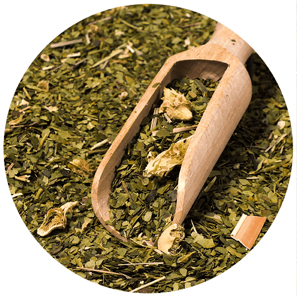 Yerba Mate Set para parejas y principiantes Verde Mate Cactus de Juarez 500g