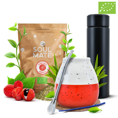 Yerba Soul Mate Energia 500g set + Termo