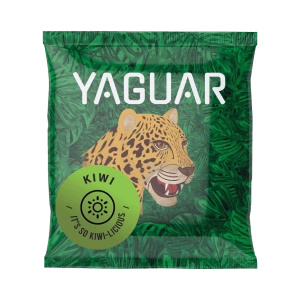 Set de inicio de Yerba Mate 500g calabaza 10x50g termo