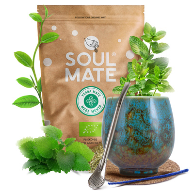 Set de Yerba Mate Soul Mate 500g 0,5kg Calabaza + Bombilla