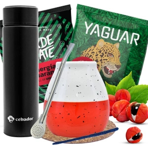 Kit de inicio de Yerba Mate Termo Calabaza 2x50g