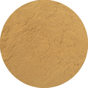 Magic Pwdr – Reishi 100 g