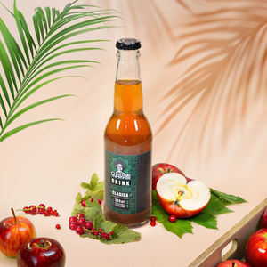 Guarani Drink – Infusión fría de Yerba Mate – Clasica 330 ml