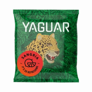 Yerba Mate Termo Bombilla Set para Dos 500g