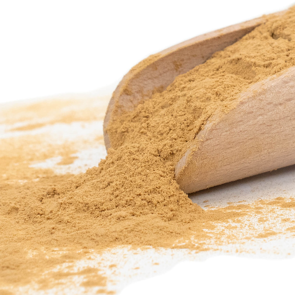 Magic Pwdr – Reishi 100 g