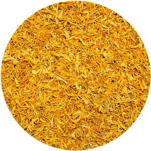 Mary Rose – Caléndula 10 g – flor de caléndula (pétalos)