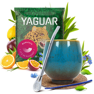 Juego de Yerba Mate 50g Calabaza + Bombilla