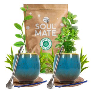 Set de Yerba Mate Soul Mate 500g 0,5kg 2x Calabaza + 2x Bombilla