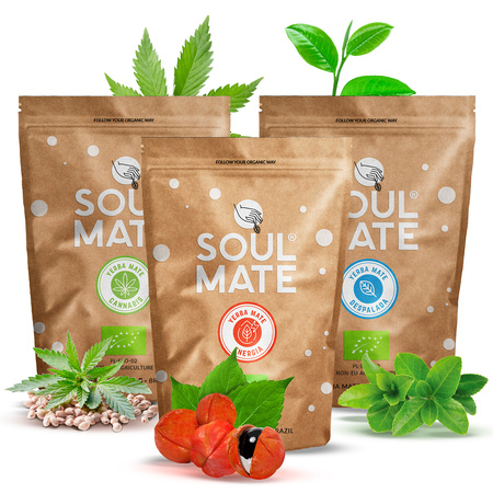 Zestaw Yerba Verde Mate Green 3x500g